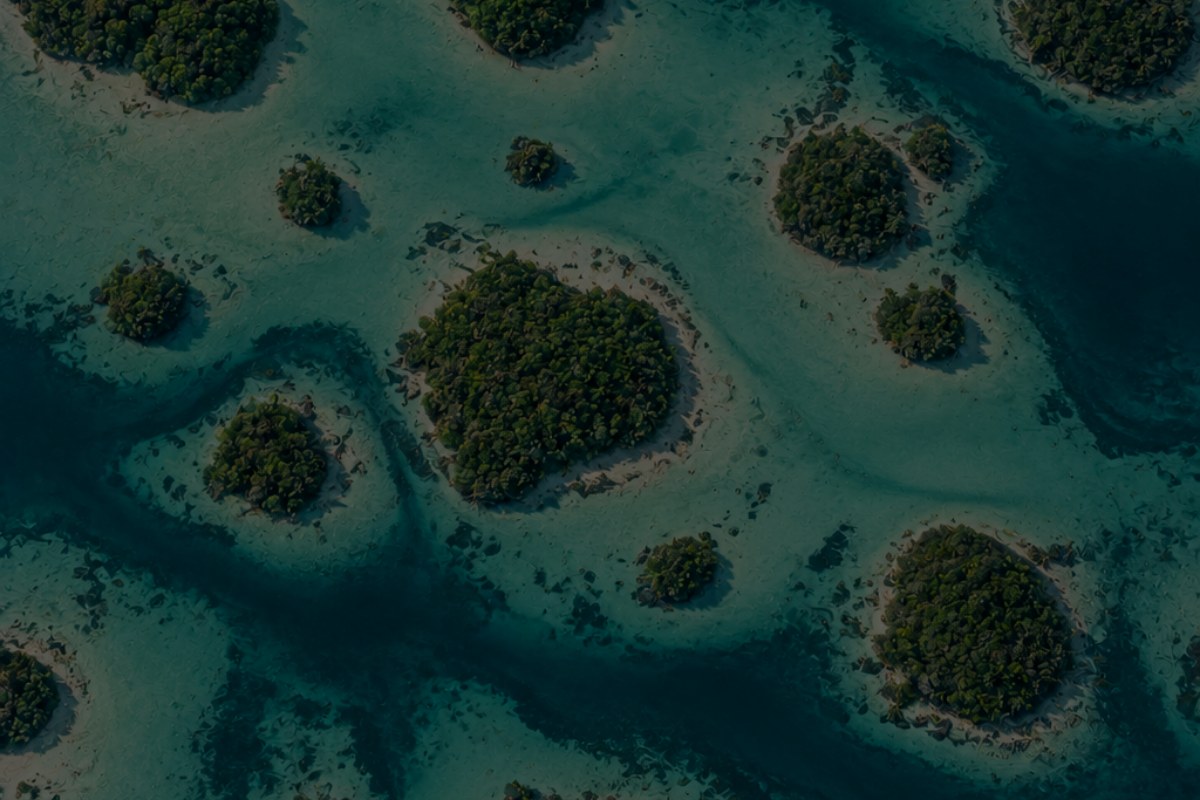 Aerial view of small mangrove islands in shallow turquoise water