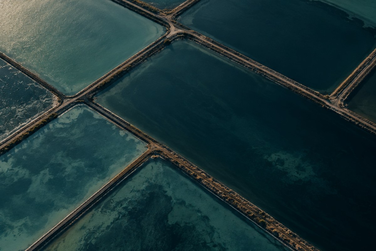 Aerial view of a geometric grid of still coastal ponds
